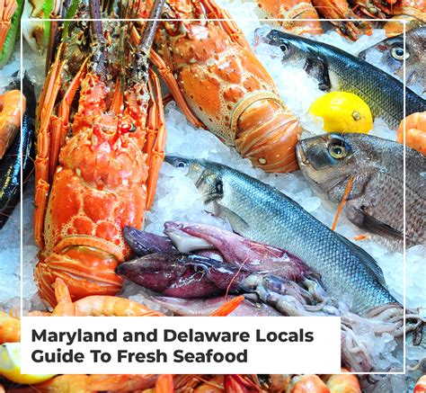 ocean fish market|Best fresh seafood market near 110C N Ocean Blvd, Myrtle Beach  .